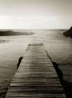 Towards The Water Sepia Art Print