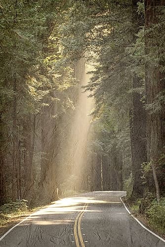 Lets get Lost Road Landscape Print