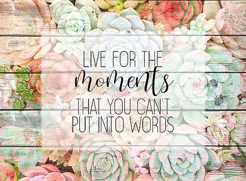 Live for The Moments Art Print
