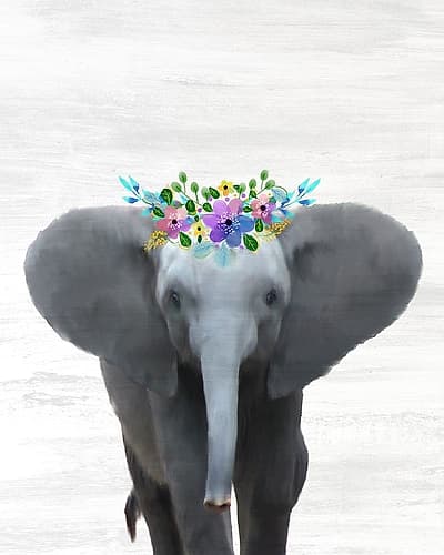 Baby Elephant Art Print