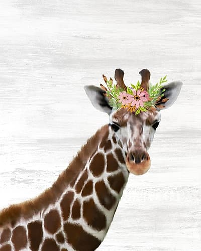 Baby Giraffe Art Print