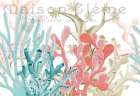 Coral Coastal 1 Art Print