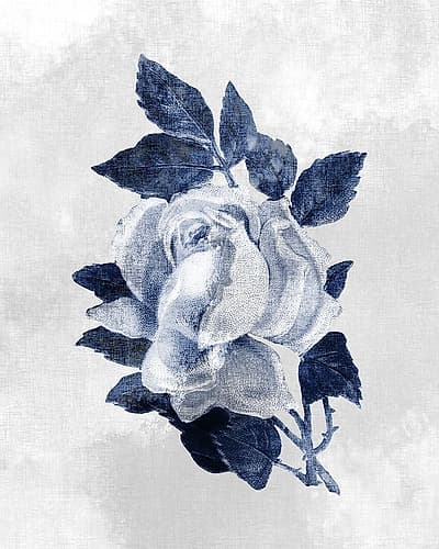 Linen Rose 1 Art Print