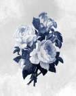Linen Rose 2 Art Print