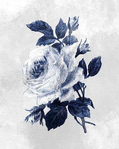 Linen Rose 3 Art Print by Kimberly Allen