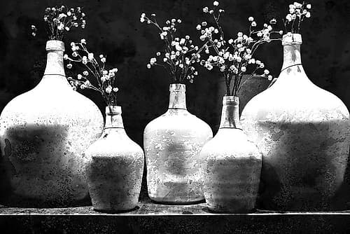 Monochrome Vases Art Print