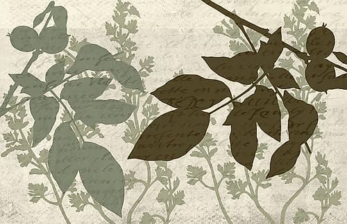 Sage 3 Nature Print