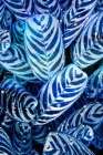 Midnight Palm Leaves 2 Art Print