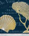 Azure Coastal 5 Art Print