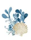 Coastal Coral 5 Art Print