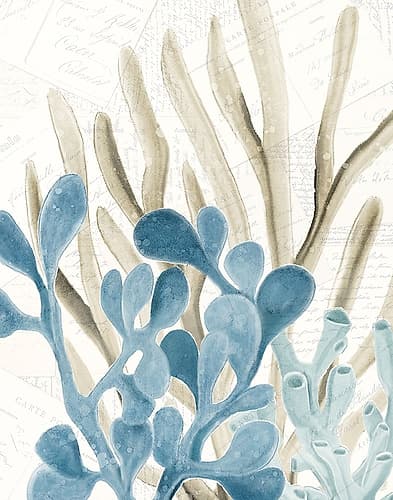 Coral Square 3 Coastal Print