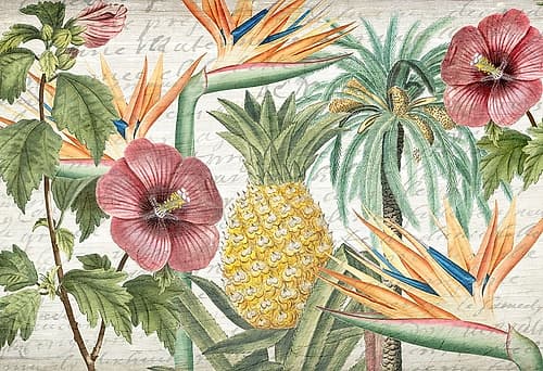Tropic Flower Art Print
