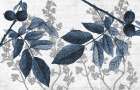 Branches 1 Art Print