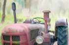 Better on The Farm Art Print