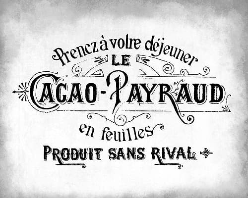 Cacao Signs Print
