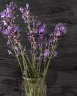 Lavender Jar 1 Art Print