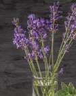 Lavender Jar 2 Art Print
