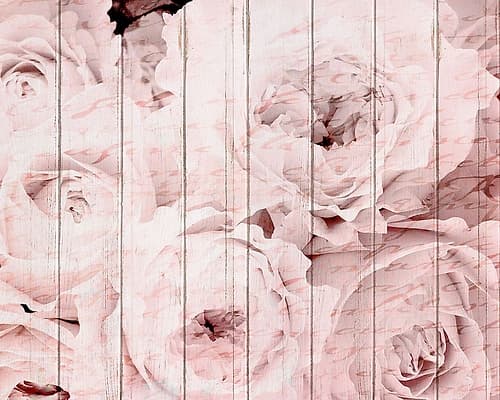 In The Roses 1 Art Print