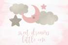 Sweet Dreams Little One Art Print