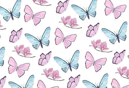 Butterfly Love 3 Art Print by Kimberly Allen