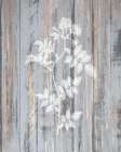 Botanical Wood 1 Art Print