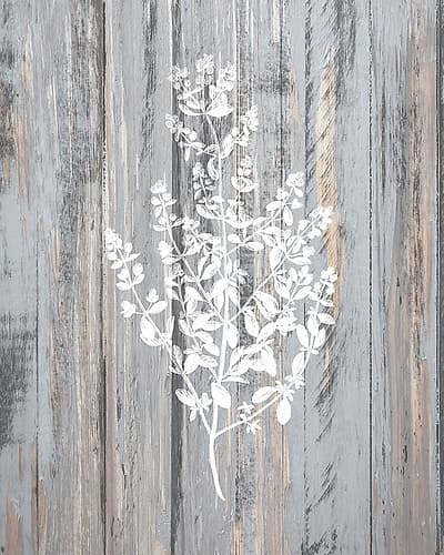 Botanical Wood 2 Art Print by Kimberly Allen