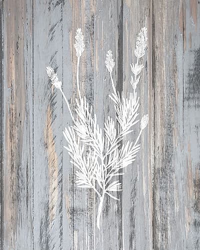 Botanical Wood 3 Art Print by Kimberly Allen