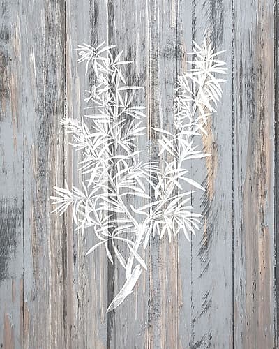 Botanical Wood 4 Art Print
