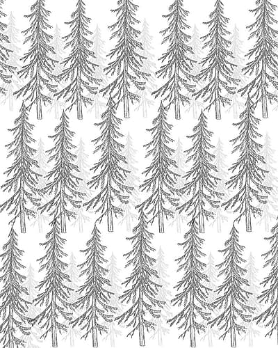 Woodland Retreat 6 Patterns Print