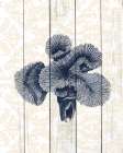 Navy Coral 2 Art Print