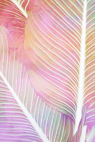 Tropical Palms 1 Nature Print