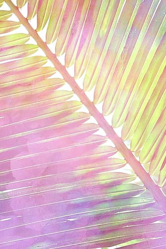 Tropical Palms 2 Nature Print