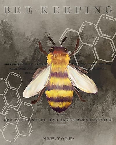 Bee Charmer 1 Art Print by Kimberly Allen