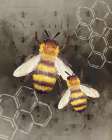 Bee Charmer 2 Art Print