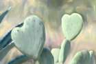 Cactus Heart Art Print
