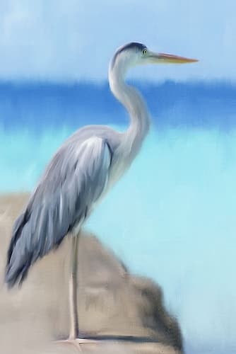 Sea Heron Art Print