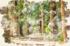 Tree Avenue Art Print