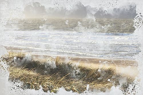 Beach Wave Coastal Print