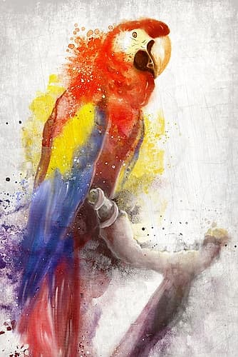 MaCaw Art Print