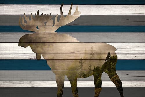 Moose Mountain Range Art Print by Candace Allen