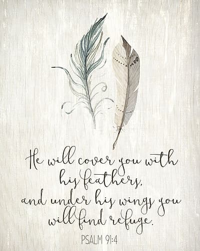 His Feathers 1 Religious Print