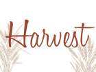 Harvest Art Print
