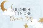 Goodnight Art Print