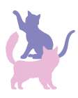 Cats Cats 1 Art Print