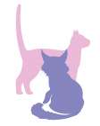 Cats Cats 2 Art Print
