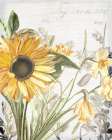 Wildflower Guide 1 Art Print