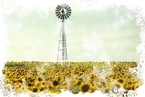 Windmill Sunflowers Art Print