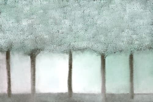 Grove Landscape Print