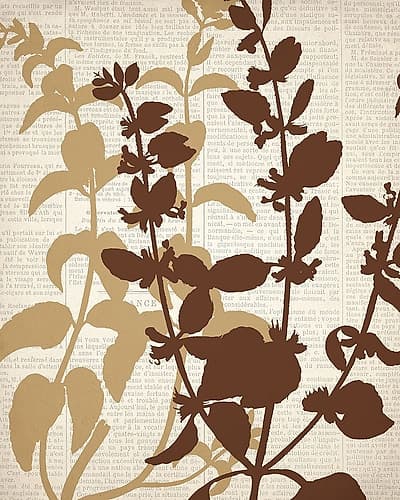 Newspaper 2 Nature Print