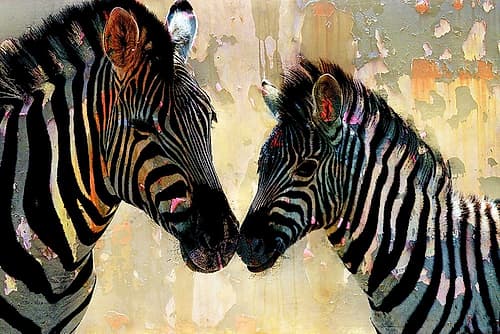 Zebra Love Art Print